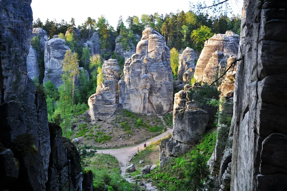Wspaniałe skalne miasto w Czechach, z piaskowcowymi wieżami i zielenią, zachęca do wędrówki.
